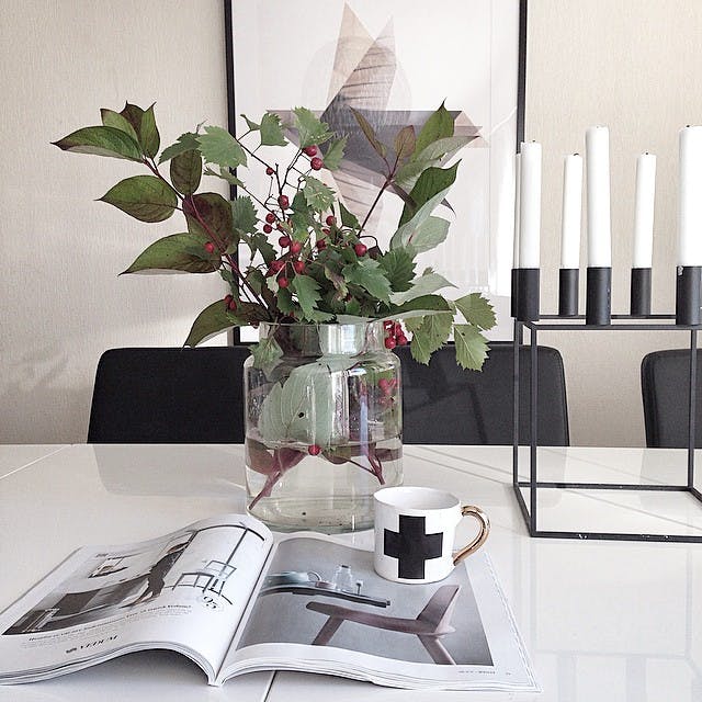 Røde bær 
  Røde bær